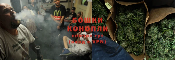 прущие грибы Киреевск