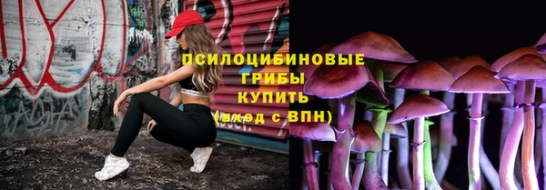 прущие грибы Киреевск