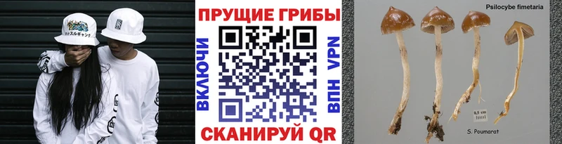 Галлюциногенные грибы ЛСД  Купить закладки  Нелидово 